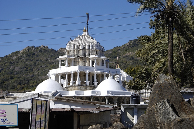 Dilwara Jain Temple
