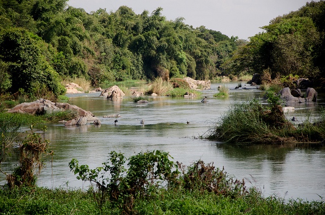 River cauvery, Mahadevapura