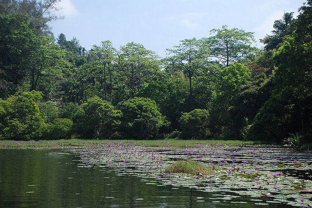 Pookot Lake, Wayanad, Kerala