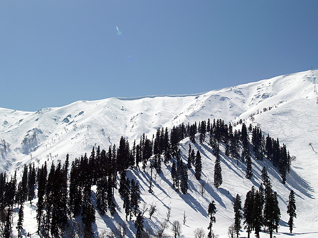 View from Gondola