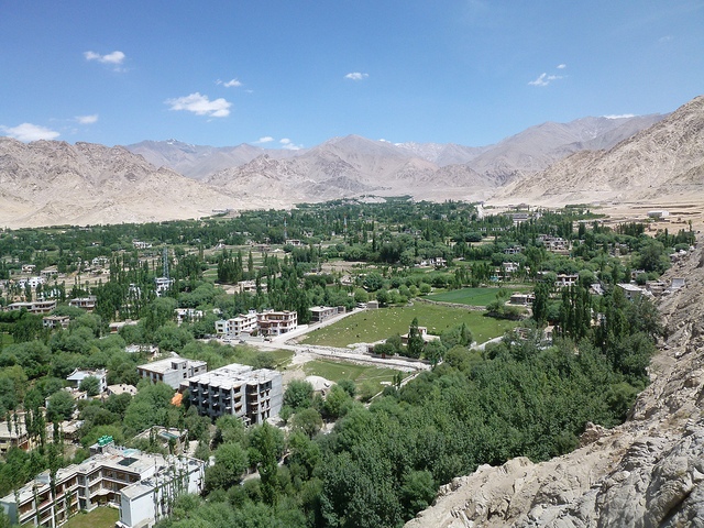 View of upper Leh from Leh Palace