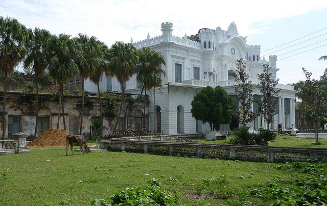 Wasef Manzil