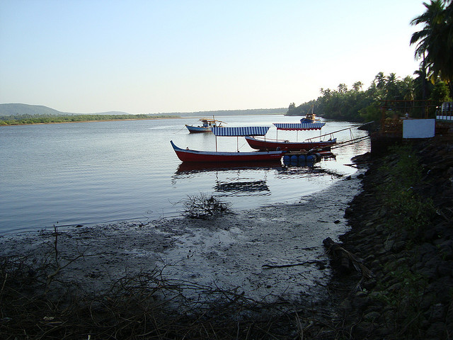 Boats at Tarkarli